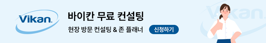 바이칸 컨설팅 서비스